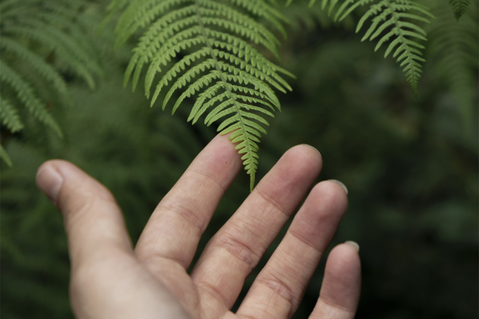 Egy kézzel élők támogatása: funkció, önállóság, életminőség