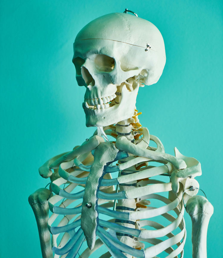 Fókuszban a csontritkulás