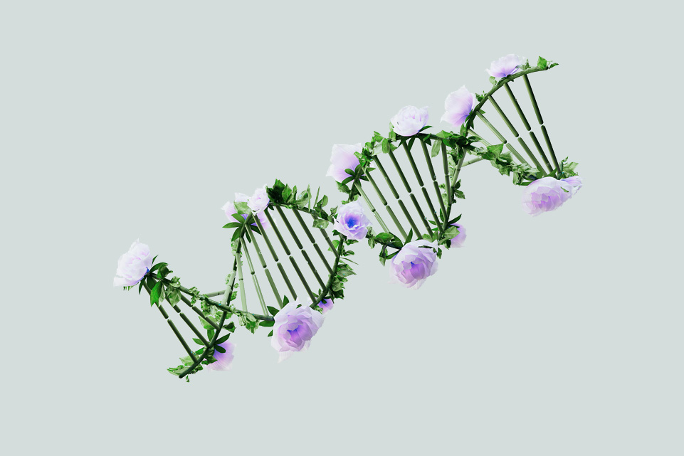 Genetika a rákkutatásban: célzottabb, pontosabb kezelések