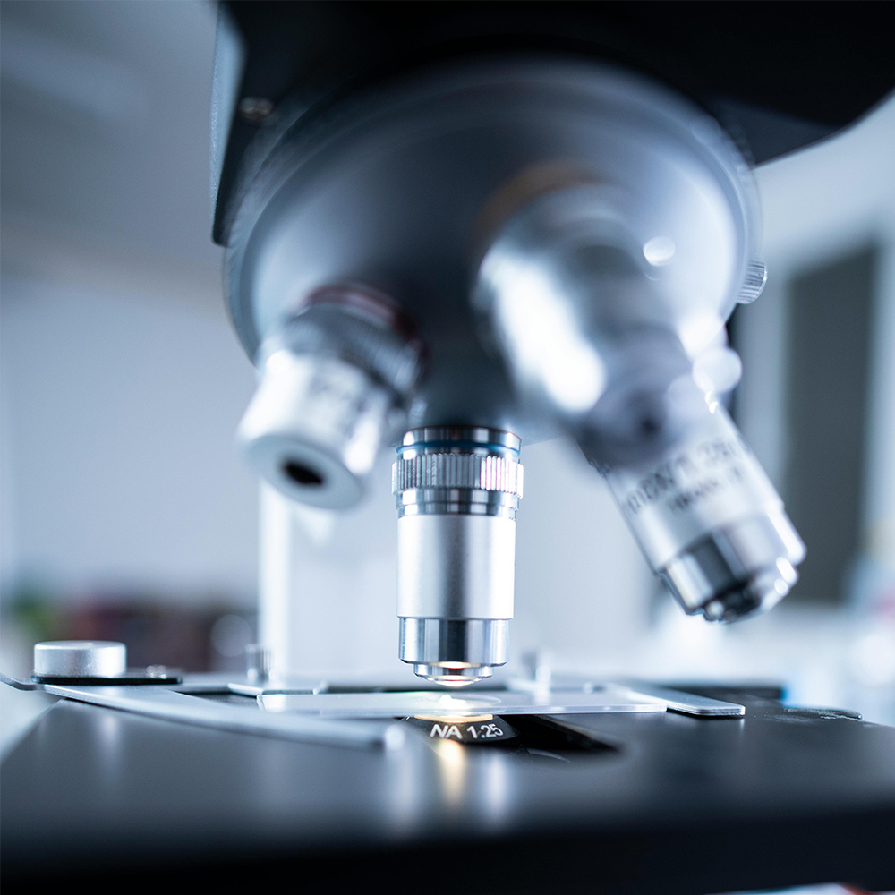 Nobel-díj, kutatók és kutatások